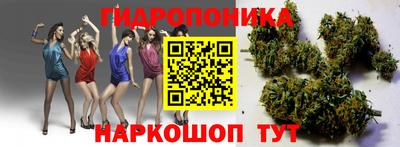 гашишное масло Будённовск