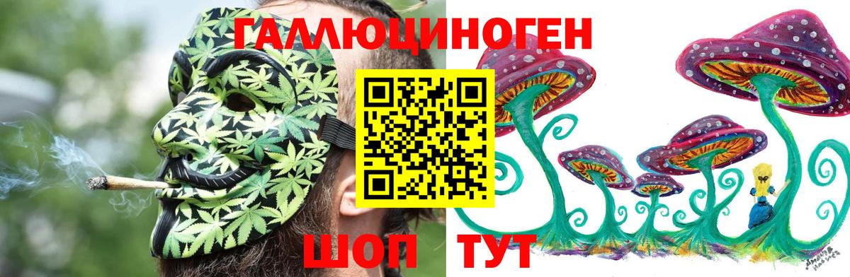 Галлюциногенные грибы Psilocybe Озёры