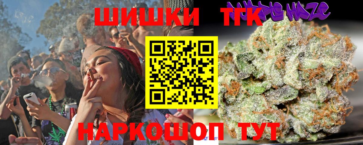 Конопля сатива Озёры